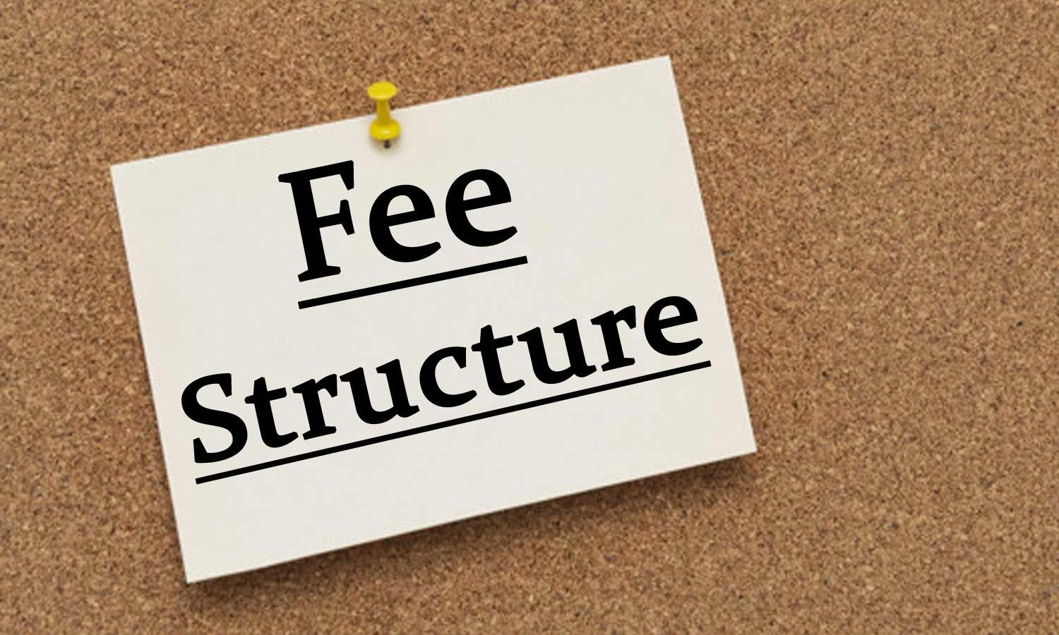 BSCS Fee Structure 2025 in Top Pakistani Universities genrate image
