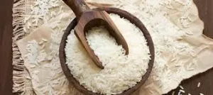 Pakistan’s First Hybrid Rice Seed Boosts Yield to 140 Maunds